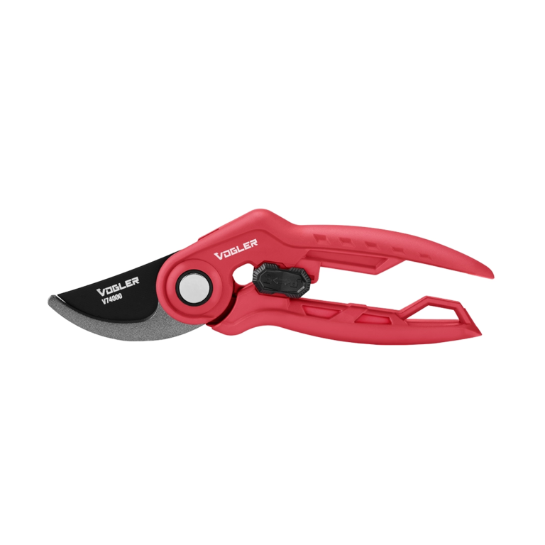 Pruning Shear-FLORY Model