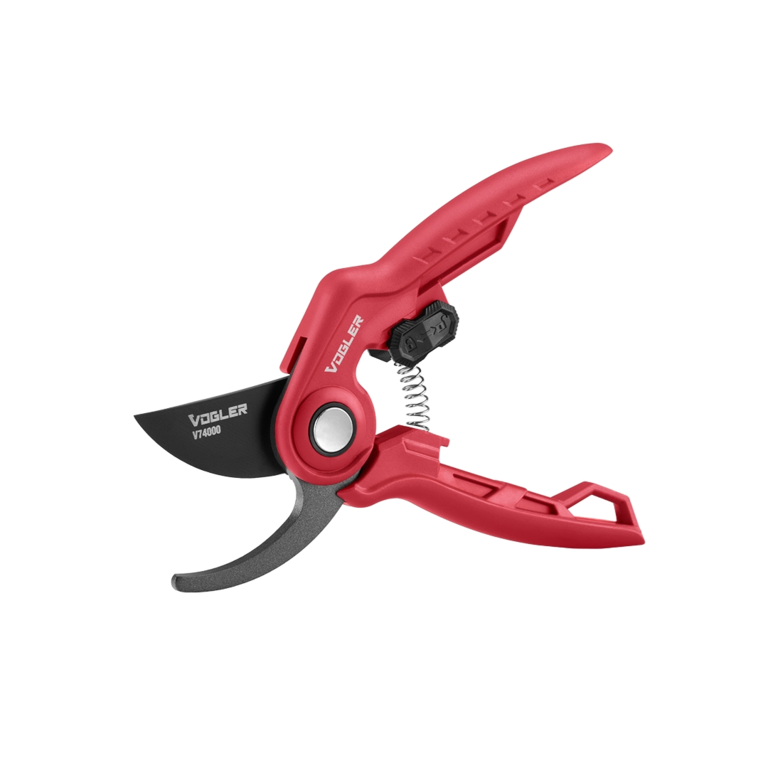 Pruning Shear-FLORY Model