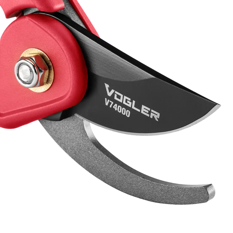 Pruning Shear-FLORY Model