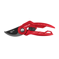 Pruning Shear-FLORY Model