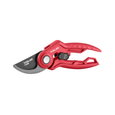 Pruning Shear-FLORY Model