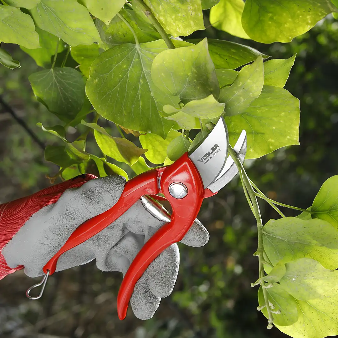 Pruning Shear 22cm-230gr
